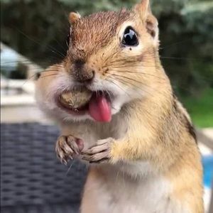 Meet your Posher, Rusty